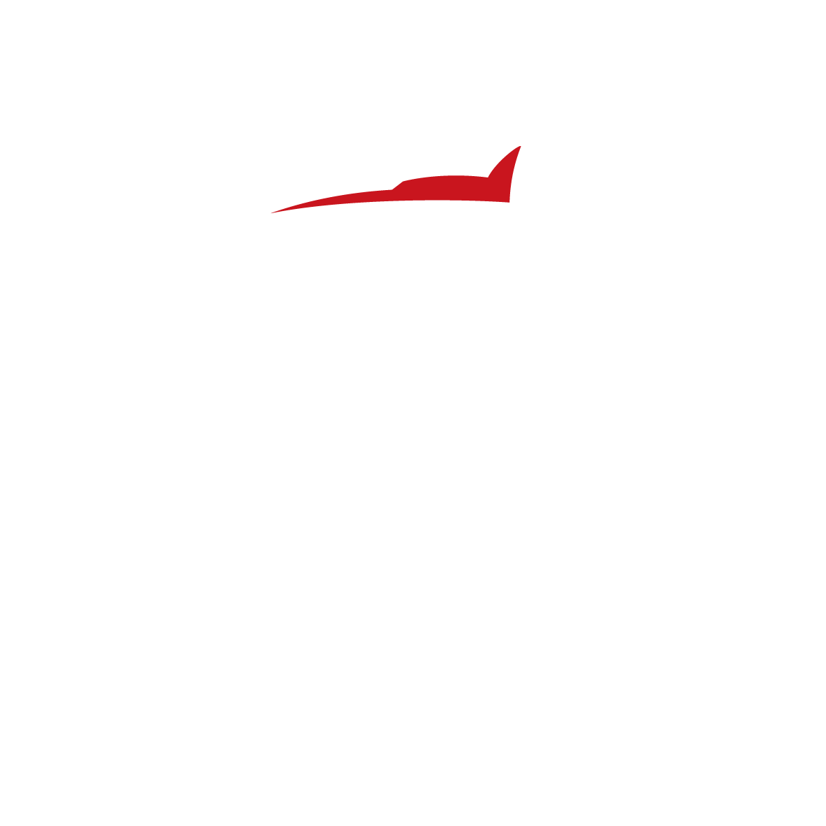 Logo de LEOCH